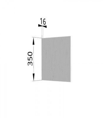 Панель торцевая (для шкафа горизонтального) ПГ Ройс (Графит софт) в Керамкомбинате - keramkombinat.mebel54.com | фото
