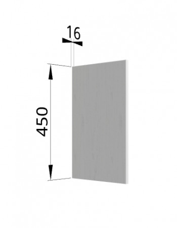 Панель торцевая (для шкафа горизонтального высокого) ВПГ Ройс (Графит софт) в Керамкомбинате - keramkombinat.mebel54.com | фото